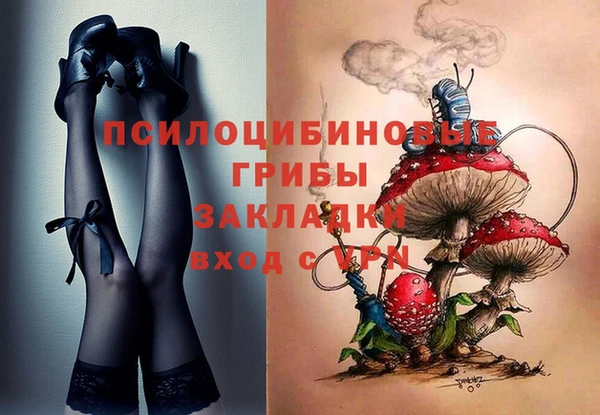 ECSTASY Осинники