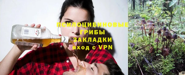 ECSTASY Осинники