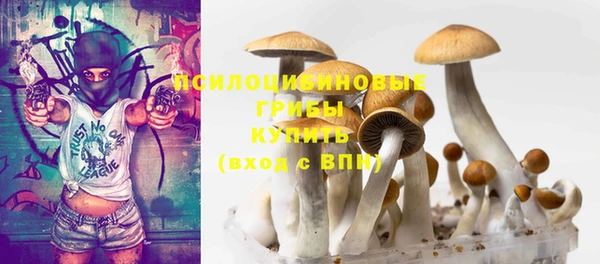 гидра Билибино