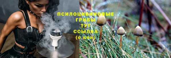 ECSTASY Осинники