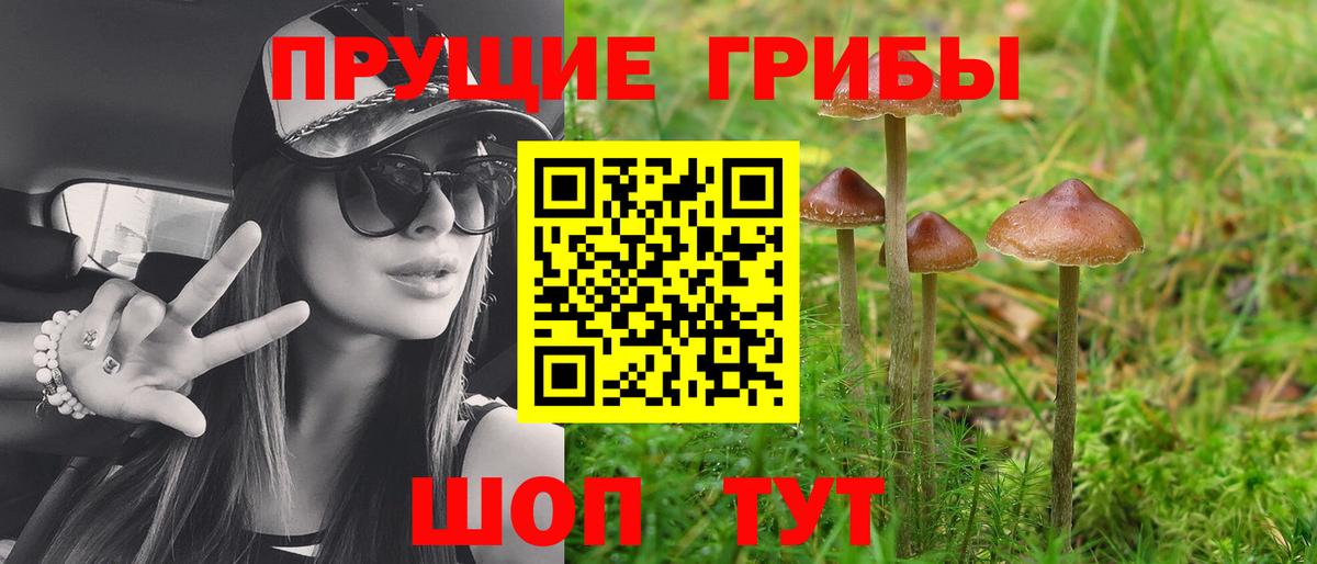 Псков  Псилоцибиновые грибы MAGIC MUSHROOMS  Вход с VPN  Псилоцибиновые грибы Psilocybine cubensis 